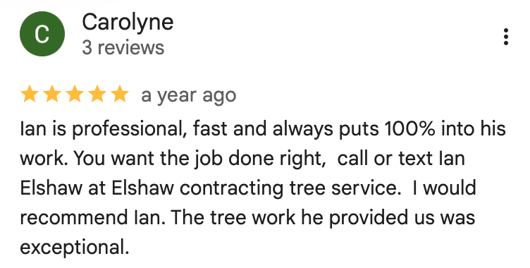Ian is professional, fast and always puts 100% into his work. You want the job done right, call or text Ian Elshaw at Elshaw contracting tree service. I would recommend Ian. The tree work he provided us was exceptional.