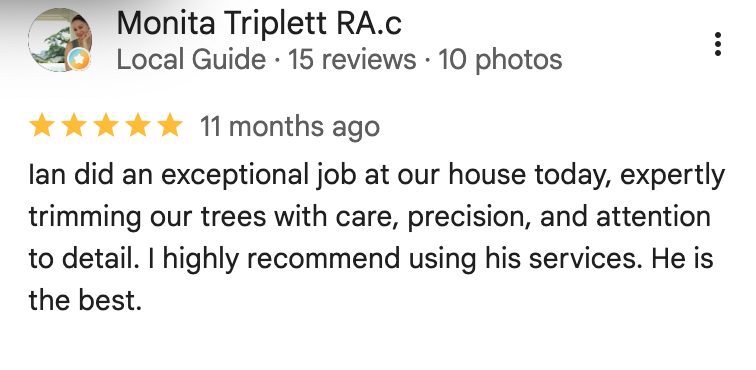 Ian did an exceptional job at our house today, expertly trimming our trees with care, precision, and attention to detail. I highly recommend using his services. He is the best.